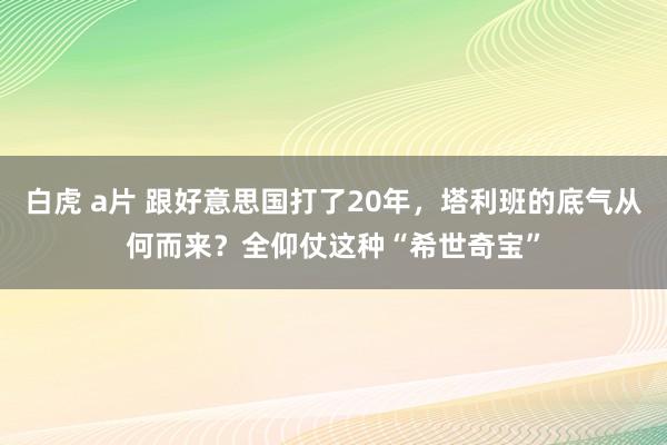 白虎 a片 跟好意思国打了20年，塔利班的底气从何而来？全仰仗这种“希世奇宝”