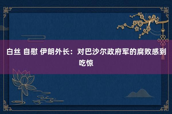 白丝 自慰 伊朗外长：对巴沙尔政府军的腐败感到吃惊