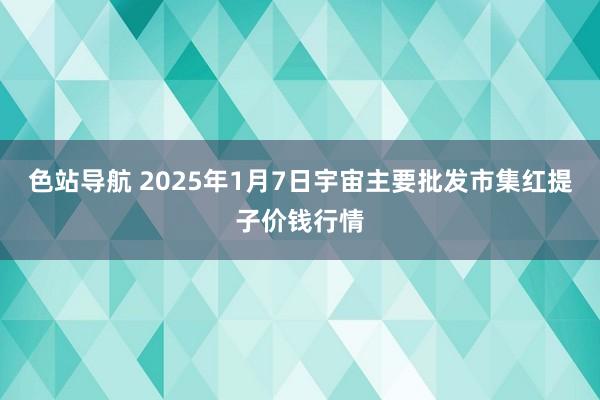 色站导航 2025年1月7日宇宙主要批发市集红提子价钱行情
