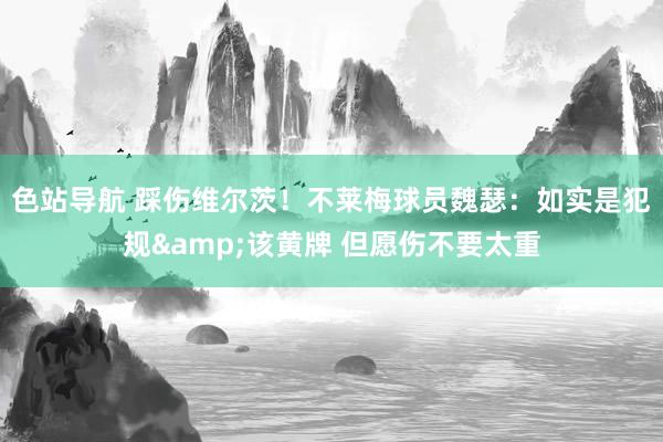 色站导航 踩伤维尔茨！不莱梅球员魏瑟：如实是犯规&该黄牌 但愿伤不要太重