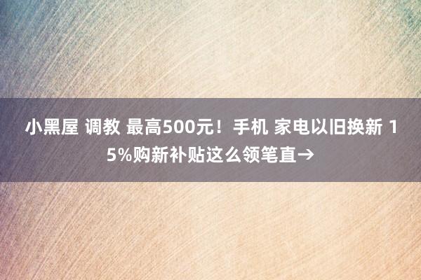 小黑屋 调教 最高500元！手机 家电以旧换新 15%购新补贴这么领笔直→