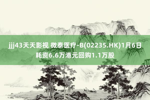 jjj43天天影视 微泰医疗-B(02235.HK)1月6日耗资6.6万港元回购1.1万股