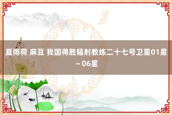 夏雨荷 麻豆 我国得胜辐射教练二十七号卫星01星～06星